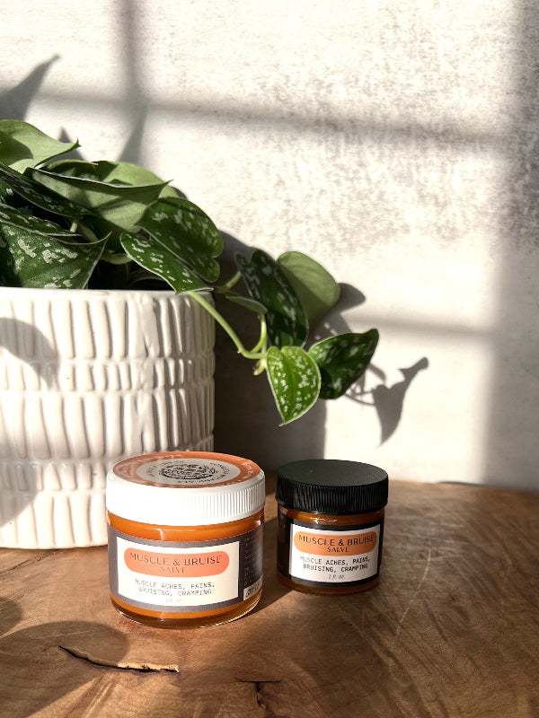 Muscle and Bruise Salve