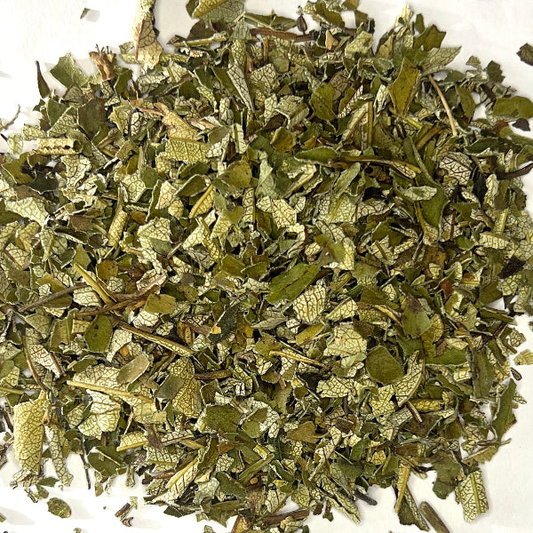 Yerba Santa