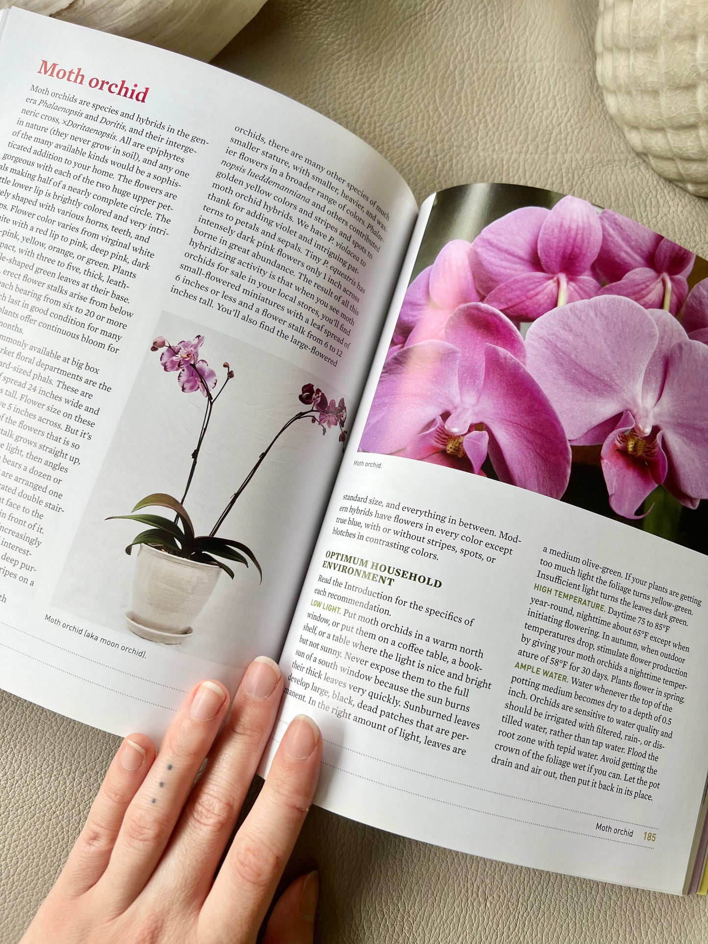 What’s Wrong With My Houseplant?