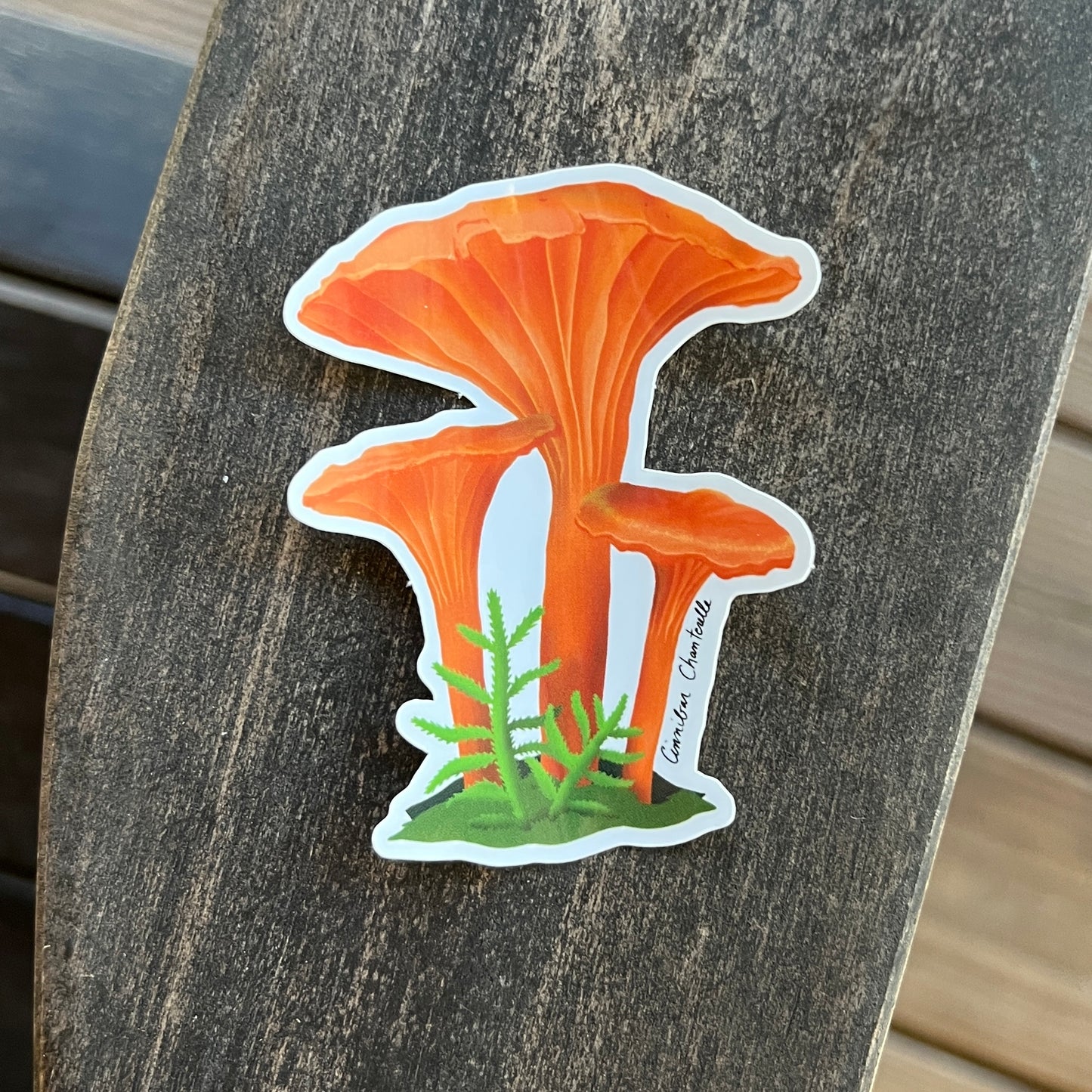 Chanterelle Sticker