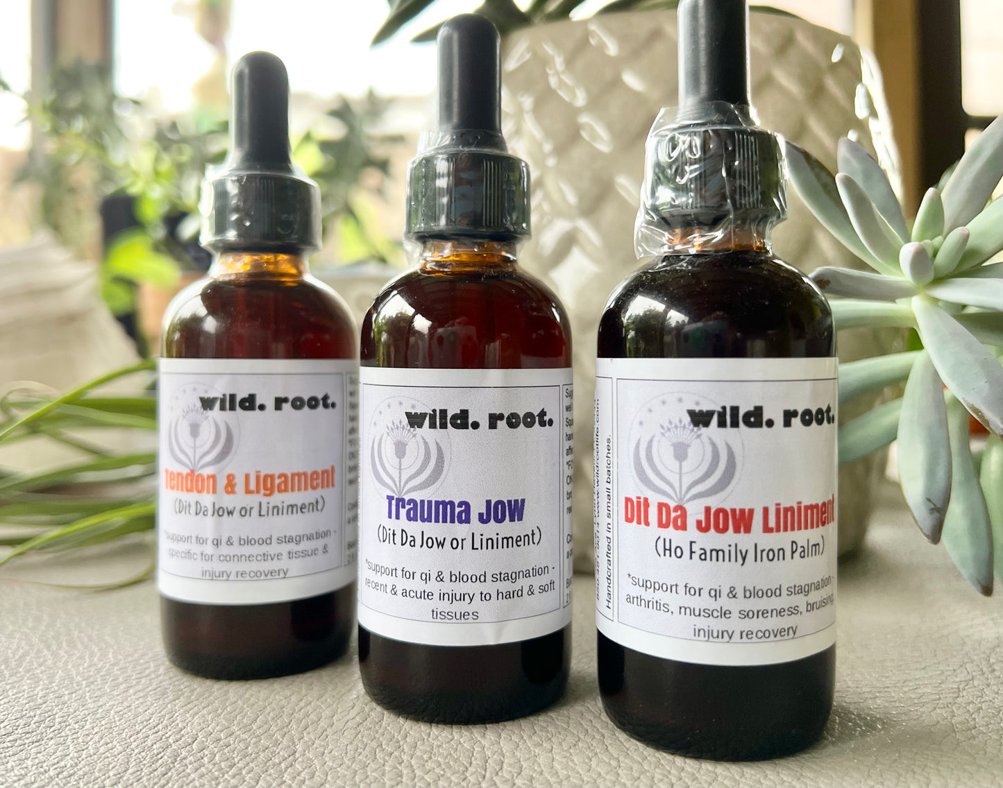Dit Da Jow Liniment