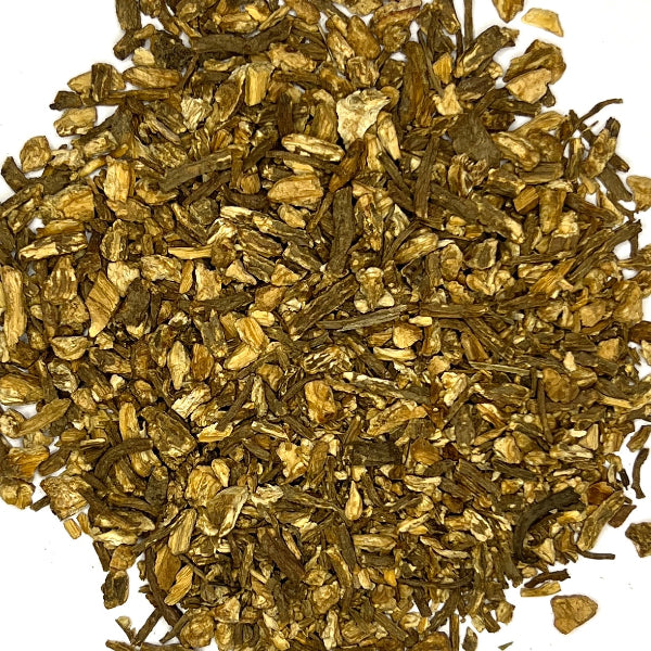 Angelica Root
