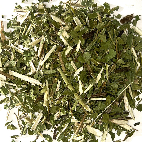 Blue Vervain