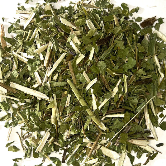 Blue Vervain