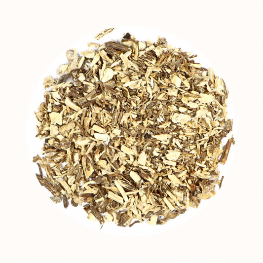 Angelica