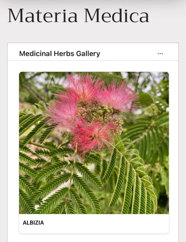 A digital catalog card titled 'Materia Medica' showing a botanical photo of Albizia pink flowers and green leaves under the heading 'Medicinal Herbs Gallery'.