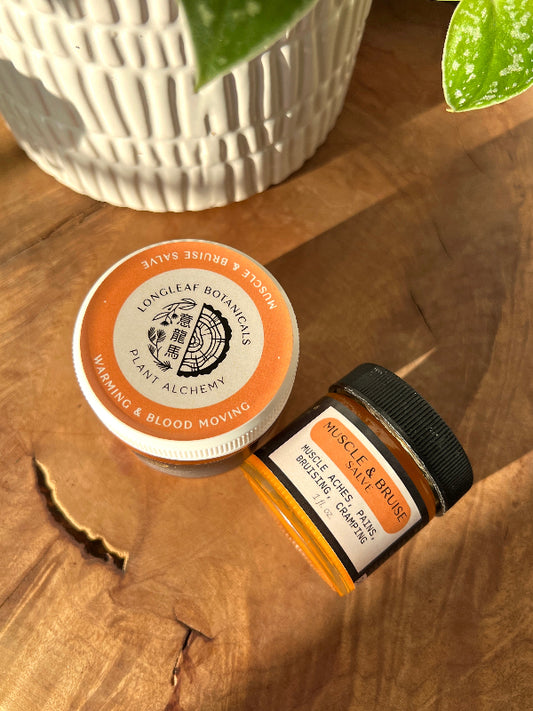 Muscle and Bruise Salve