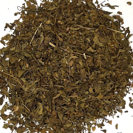 Tulsi Holy Basil