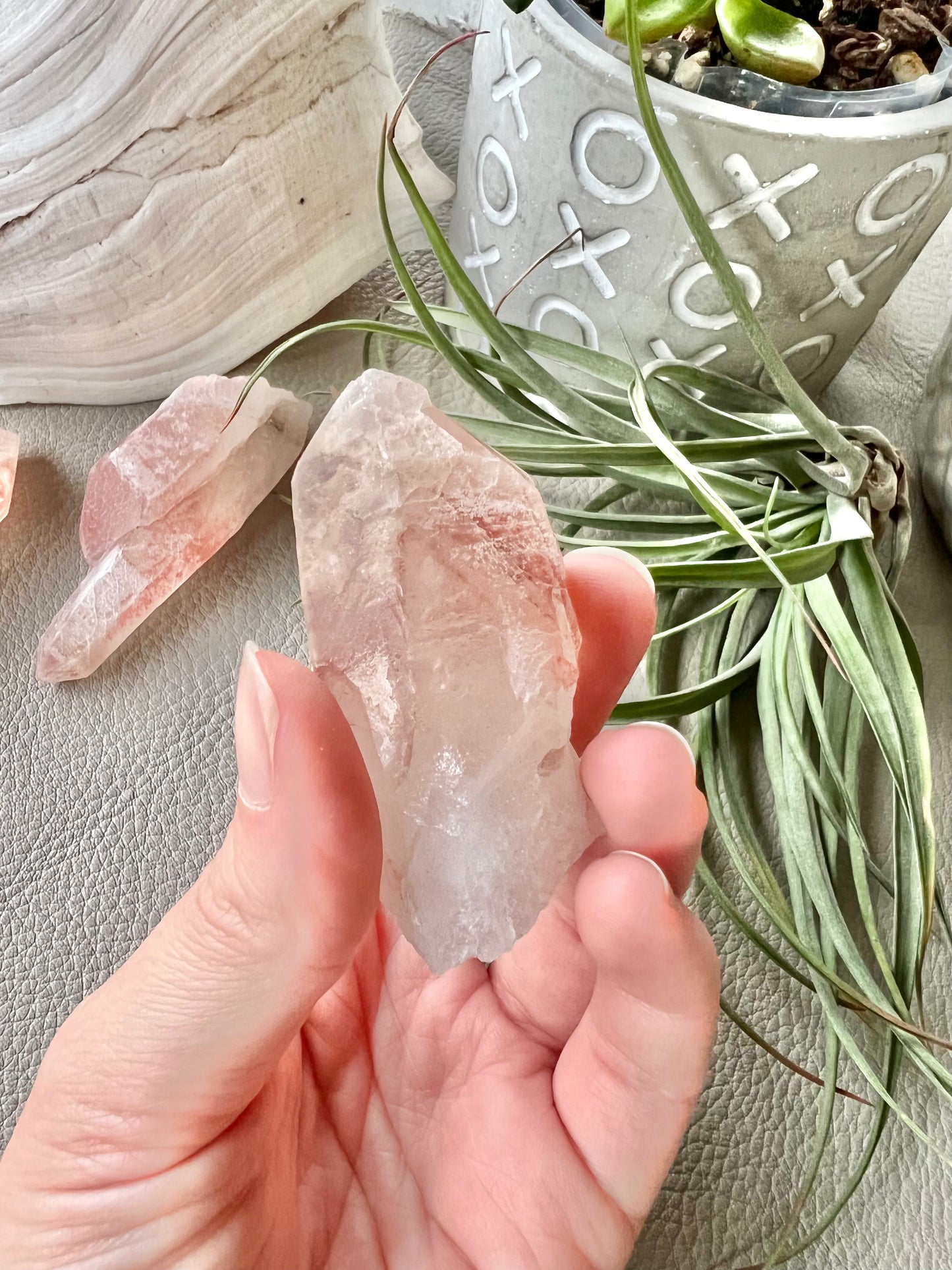 Pink Lemurian