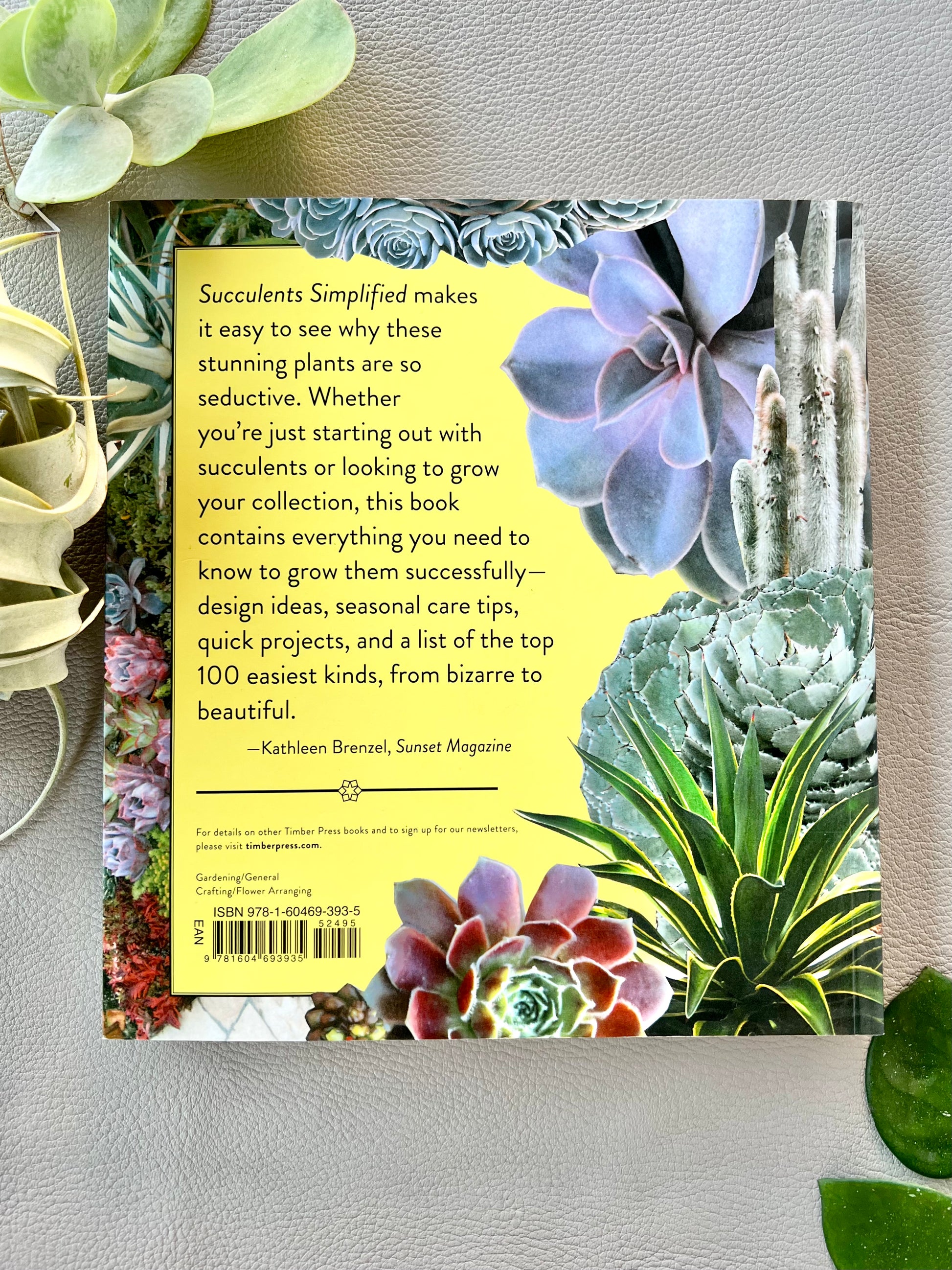 succulents simplified book Succulents Simplified