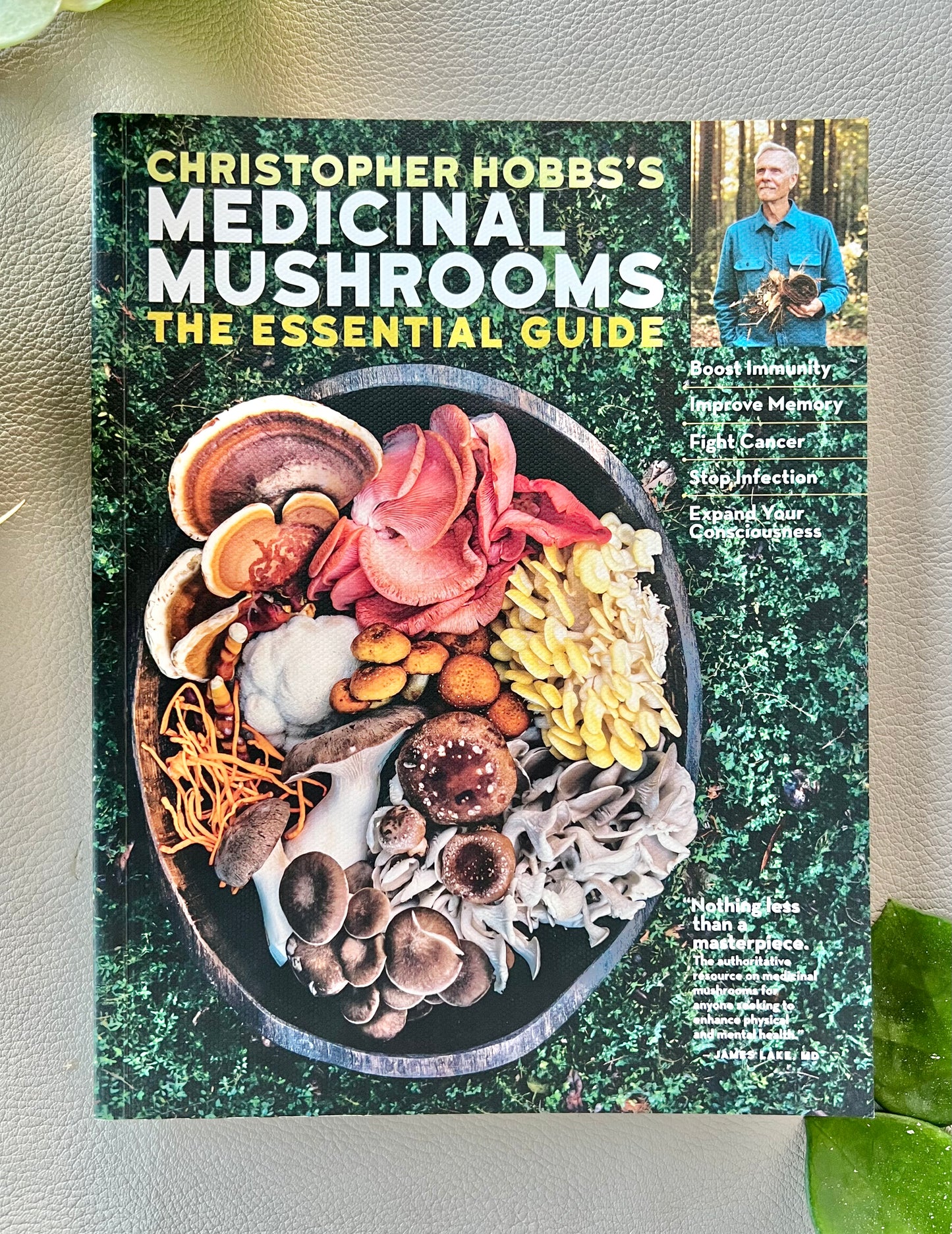 Christopher Hobbs's Medicinal Mushrooms