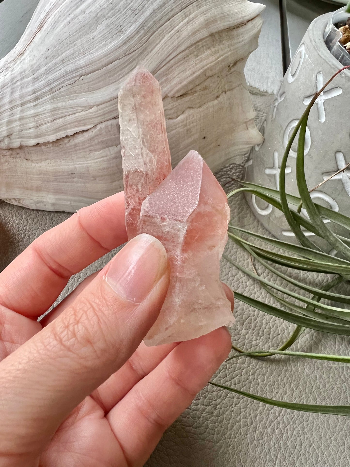 Pink Lemurian