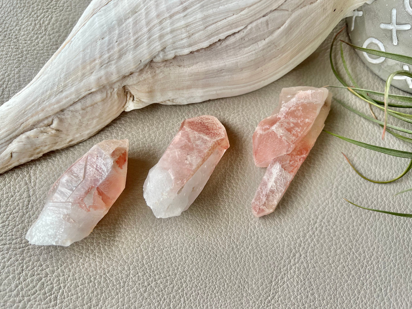 Pink Lemurian