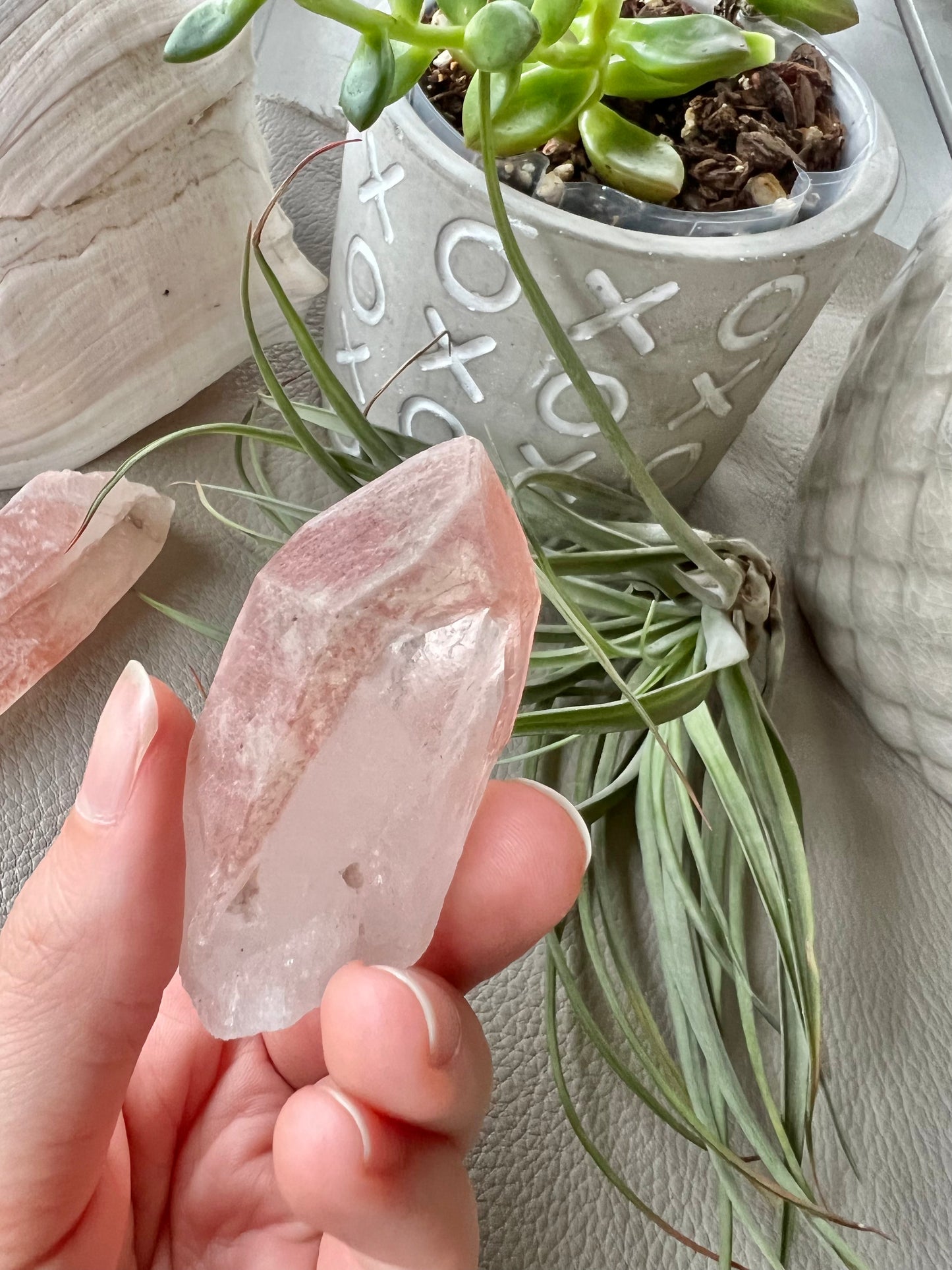 Pink Lemurian